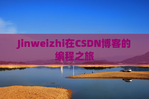 Jinweizhi在CSDN博客的编程之旅